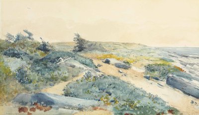 Prouts Neck by Winslow Homer